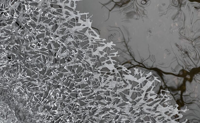 Ice crystals on the edge of a stream with tree branches reflecting in the water