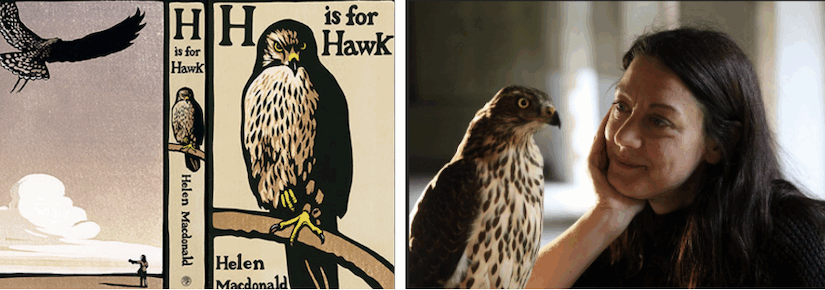 H is for Hawk, Helen Macdonald