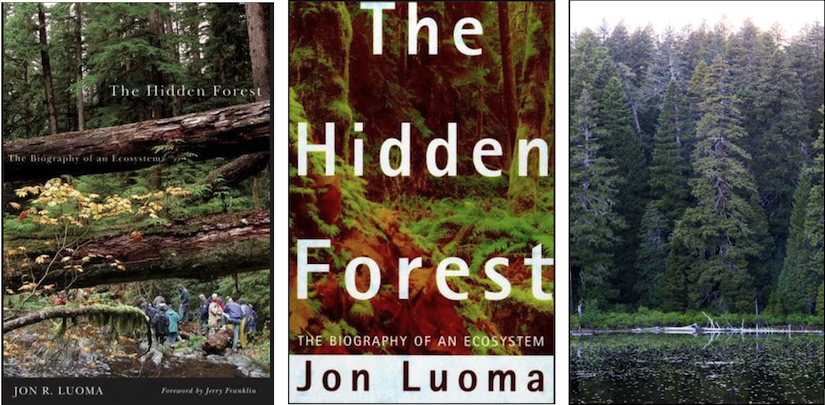 The Hidden Forest, John Luoma